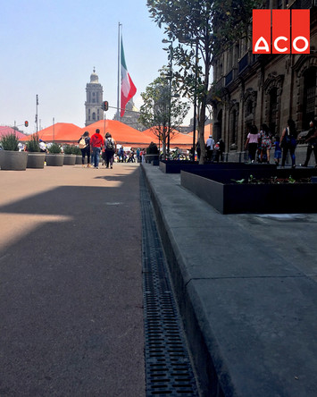 Caso Calzada 20 De Noviembre001