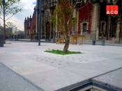Plaza Seminario, CDMX, Centro